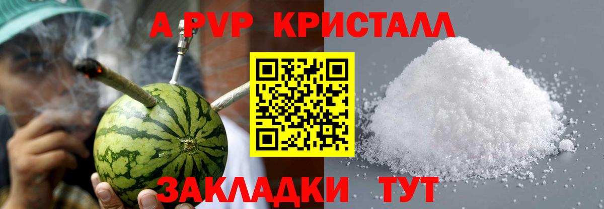 Alfa_PVP СК КРИС Благодарный