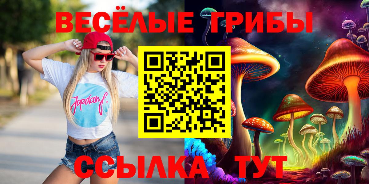 Благодарный  магазин продажи наркотиков  Вход с VPN  Псилоцибиновые грибы прущие грибы 