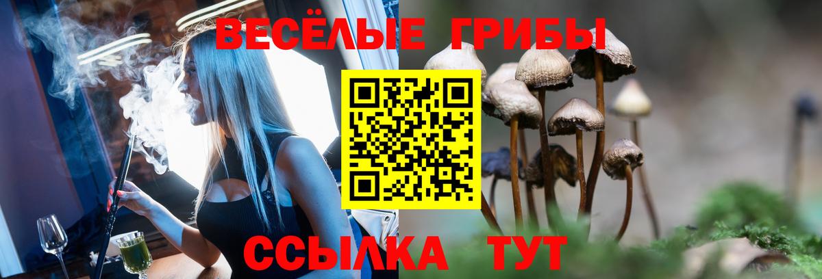 Галлюциногенные грибы прущие грибы Благодарный